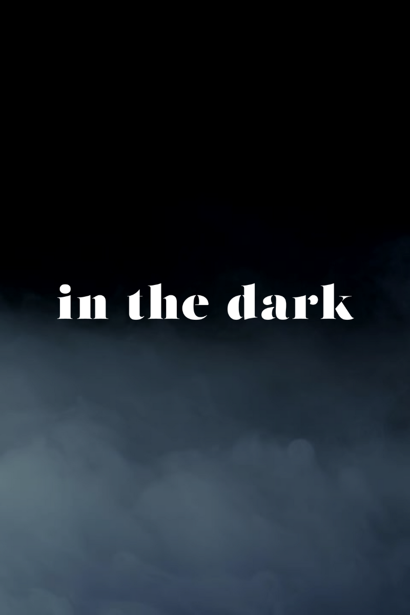 • In The Dark •